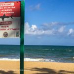 Discovering Recife beach