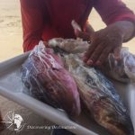 Discovering Porto de Galinhas - fish filet preparation