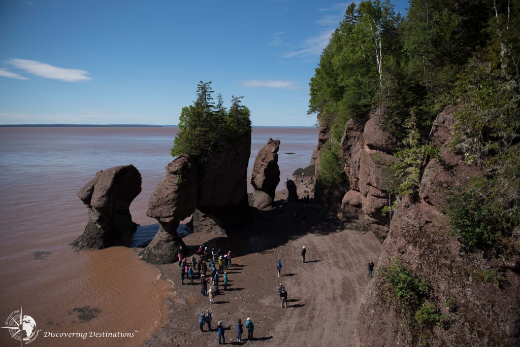 Hopewell Rocks overview