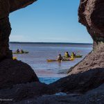 Hopewell Rocks kayak experience