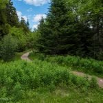 Fundy National Park hiking trail