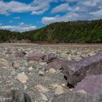 Fundy National Park low tide