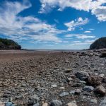 Fundy National Park low tide