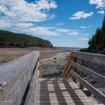 Fundy National Park Woody Point