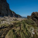 Cape Enrage cliffs
